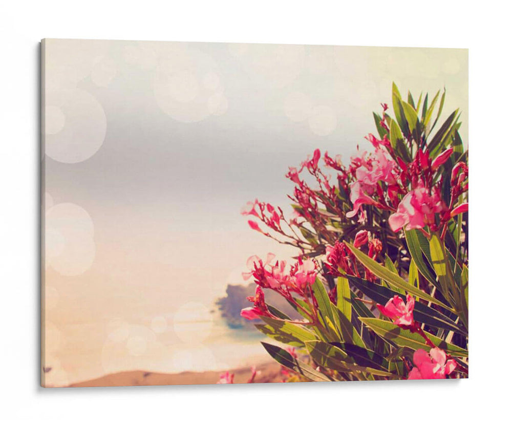 Flores En Paradise Ii - Sylvia Coomes | Cuadro decorativo de Canvas Lab