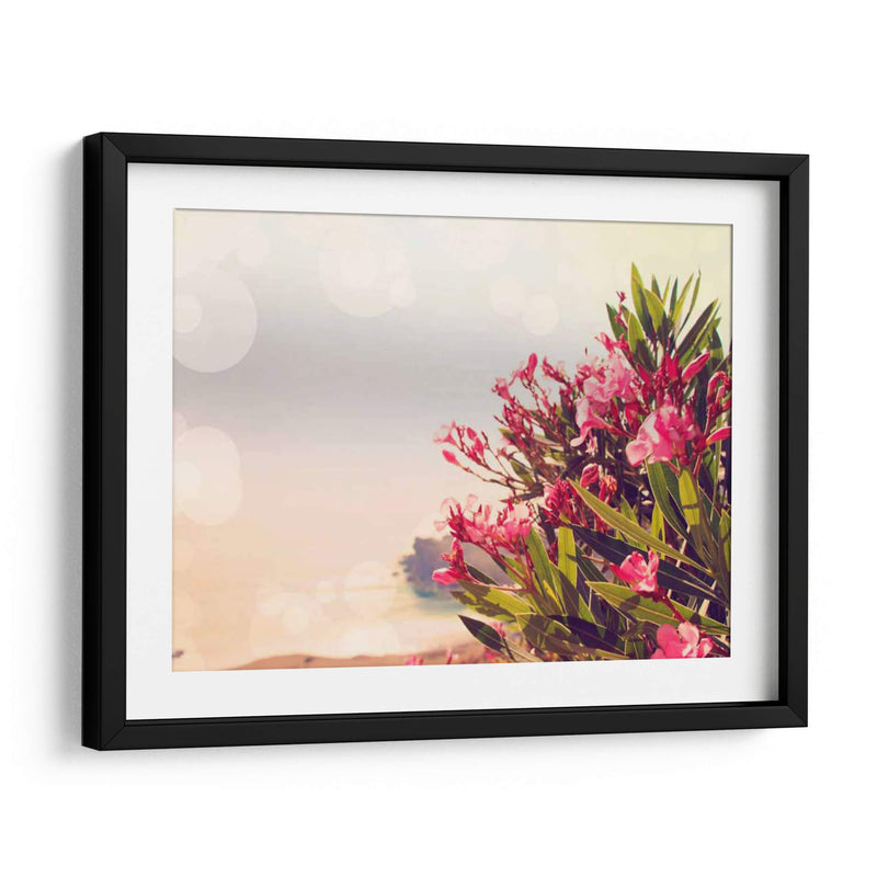 Flores En Paradise Ii - Sylvia Coomes | Cuadro decorativo de Canvas Lab