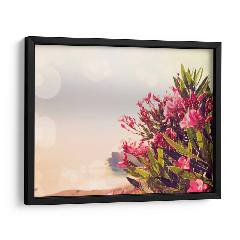 Flores En Paradise Ii - Sylvia Coomes | Cuadro decorativo de Canvas Lab