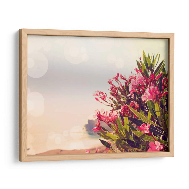 Flores En Paradise Ii - Sylvia Coomes | Cuadro decorativo de Canvas Lab