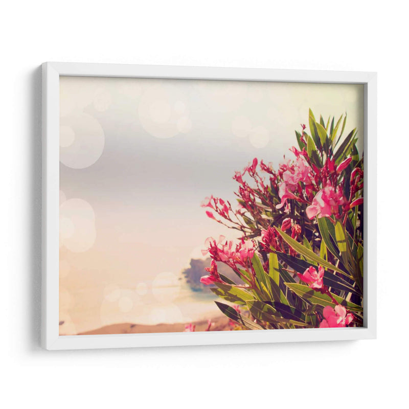 Flores En Paradise Ii - Sylvia Coomes | Cuadro decorativo de Canvas Lab