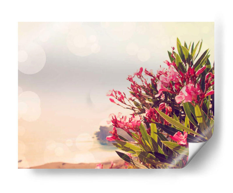 Flores En Paradise Ii - Sylvia Coomes | Cuadro decorativo de Canvas Lab