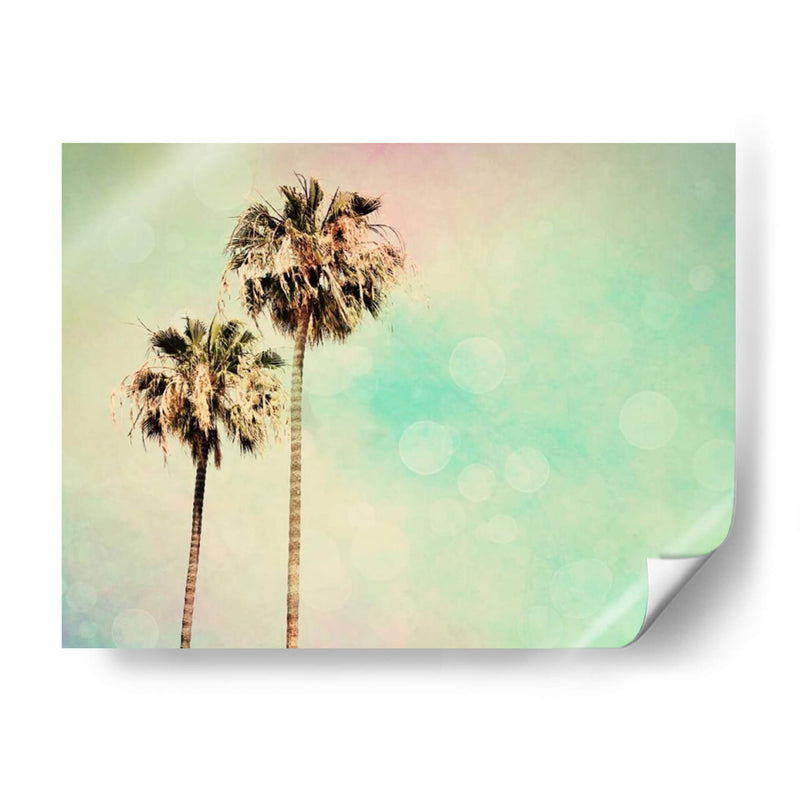 Palmeras I - Sylvia Coomes | Cuadro decorativo de Canvas Lab