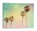 Palmeras Ii - Sylvia Coomes | Cuadro decorativo de Canvas Lab