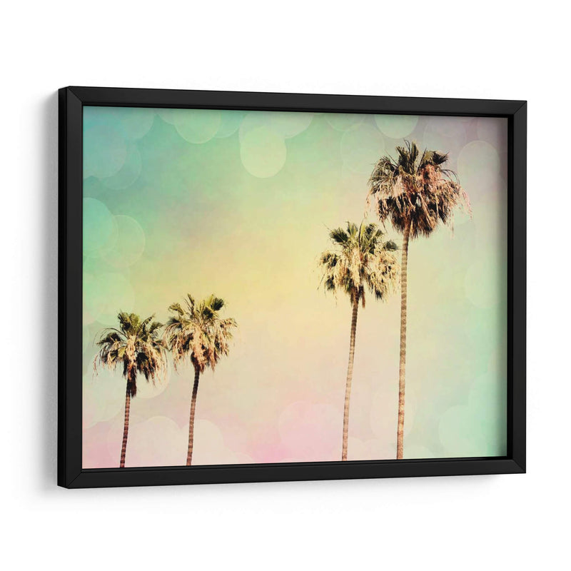 Palmeras Ii - Sylvia Coomes | Cuadro decorativo de Canvas Lab