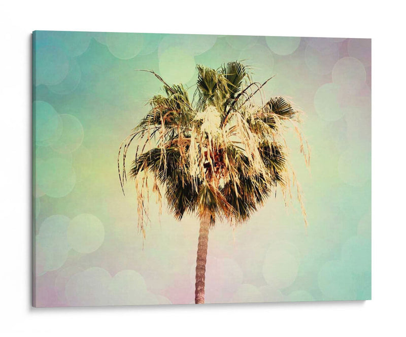 Palmeras Iii - Sylvia Coomes | Cuadro decorativo de Canvas Lab