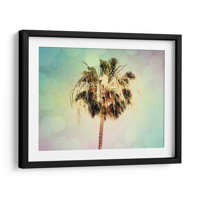 Palmeras Iii - Sylvia Coomes | Cuadro decorativo de Canvas Lab
