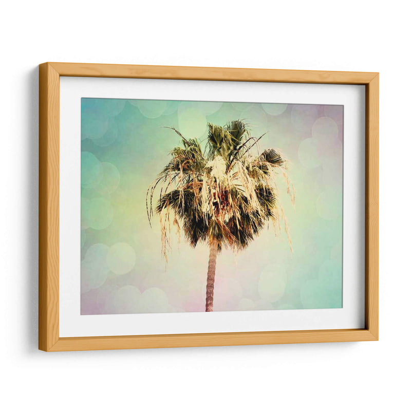 Palmeras Iii - Sylvia Coomes | Cuadro decorativo de Canvas Lab