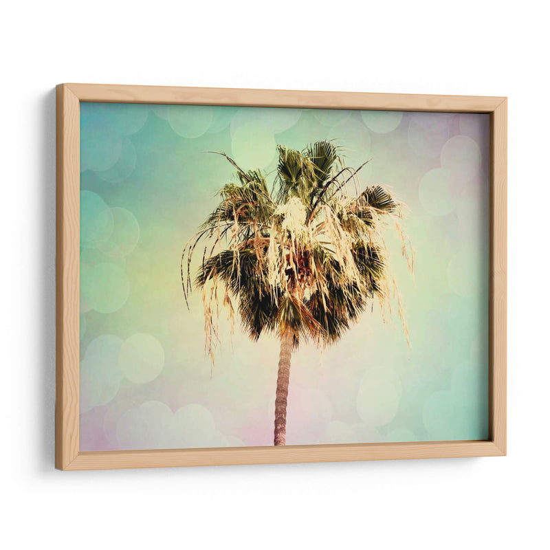 Palmeras Iii - Sylvia Coomes | Cuadro decorativo de Canvas Lab