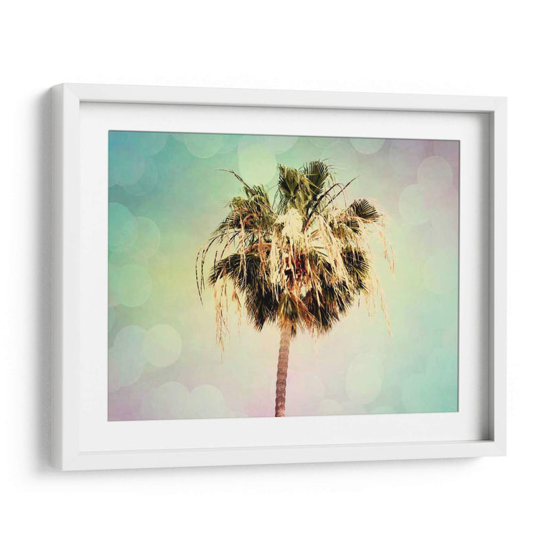 Palmeras Iii - Sylvia Coomes | Cuadro decorativo de Canvas Lab