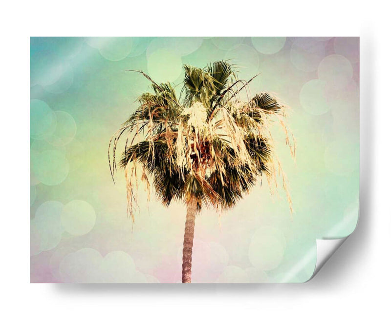 Palmeras Iii - Sylvia Coomes | Cuadro decorativo de Canvas Lab