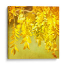 Fotografía De Otoño I - Sylvia Coomes | Cuadro decorativo de Canvas Lab