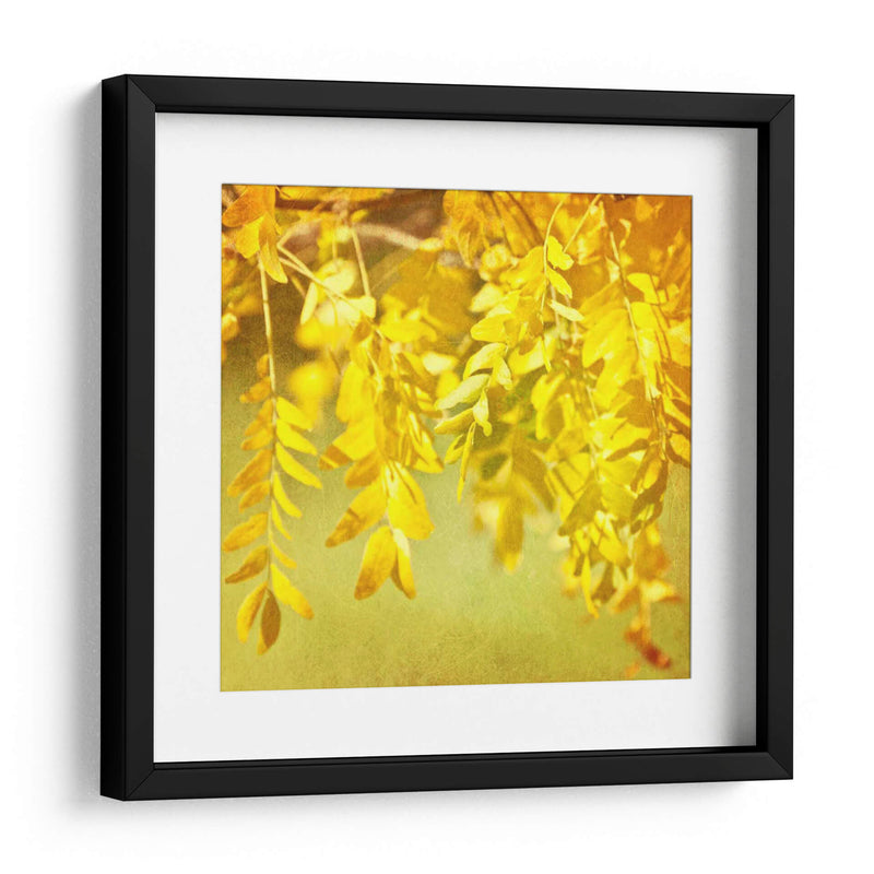 Fotografía De Otoño I - Sylvia Coomes | Cuadro decorativo de Canvas Lab