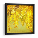 Fotografía De Otoño I - Sylvia Coomes | Cuadro decorativo de Canvas Lab