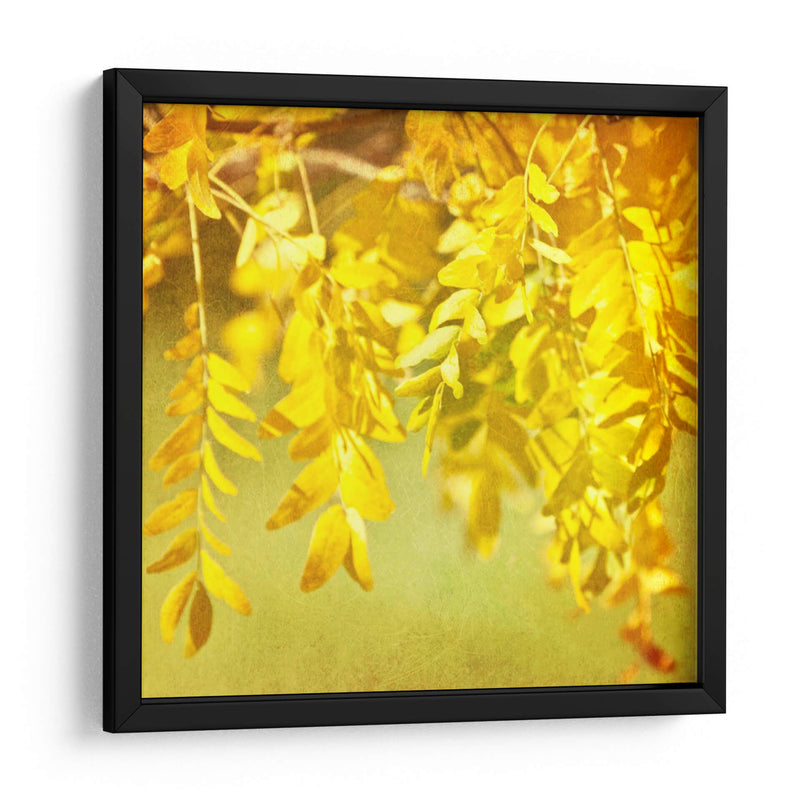 Fotografía De Otoño I - Sylvia Coomes | Cuadro decorativo de Canvas Lab