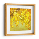 Fotografía De Otoño I - Sylvia Coomes | Cuadro decorativo de Canvas Lab