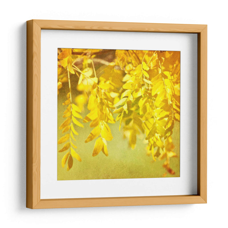 Fotografía De Otoño I - Sylvia Coomes | Cuadro decorativo de Canvas Lab