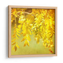 Fotografía De Otoño I - Sylvia Coomes | Cuadro decorativo de Canvas Lab