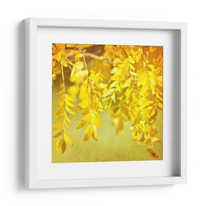Fotografía De Otoño I - Sylvia Coomes | Cuadro decorativo de Canvas Lab