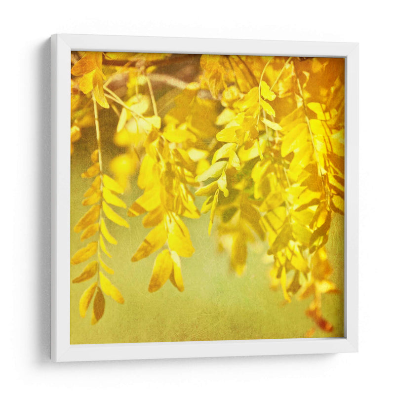 Fotografía De Otoño I - Sylvia Coomes | Cuadro decorativo de Canvas Lab