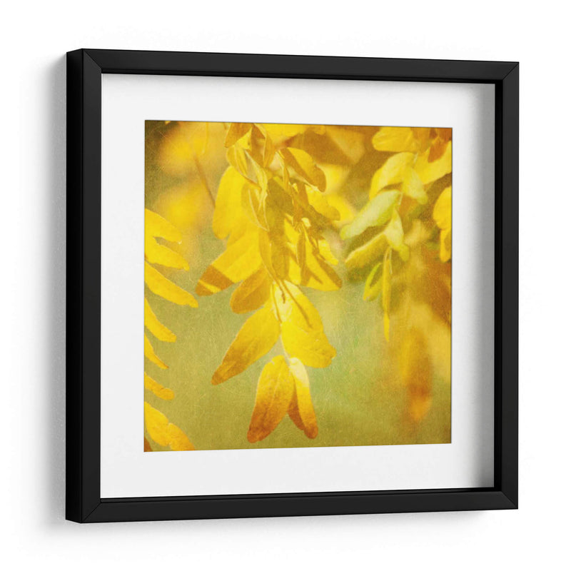 Fotografía De Otoño Ii - Sylvia Coomes | Cuadro decorativo de Canvas Lab