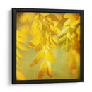 Fotografía De Otoño Ii - Sylvia Coomes | Cuadro decorativo de Canvas Lab