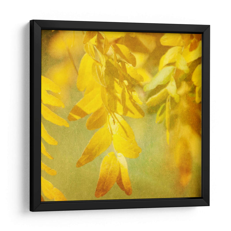 Fotografía De Otoño Ii - Sylvia Coomes | Cuadro decorativo de Canvas Lab