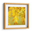 Fotografía De Otoño Ii - Sylvia Coomes | Cuadro decorativo de Canvas Lab