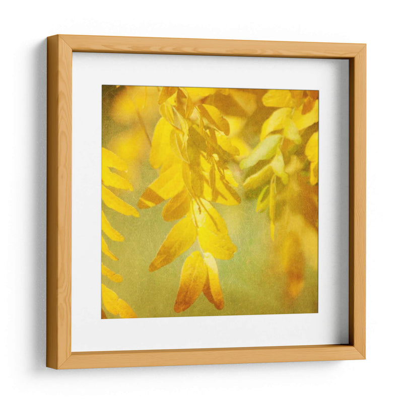 Fotografía De Otoño Ii - Sylvia Coomes | Cuadro decorativo de Canvas Lab