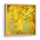 Fotografía De Otoño Ii - Sylvia Coomes | Cuadro decorativo de Canvas Lab