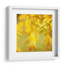 Fotografía De Otoño Ii - Sylvia Coomes | Cuadro decorativo de Canvas Lab