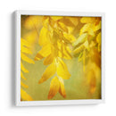 Fotografía De Otoño Ii - Sylvia Coomes | Cuadro decorativo de Canvas Lab