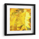 Fotografía De Otoño Iii - Sylvia Coomes | Cuadro decorativo de Canvas Lab