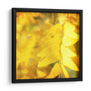 Fotografía De Otoño Iii - Sylvia Coomes | Cuadro decorativo de Canvas Lab