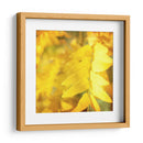 Fotografía De Otoño Iii - Sylvia Coomes | Cuadro decorativo de Canvas Lab