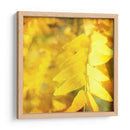 Fotografía De Otoño Iii - Sylvia Coomes | Cuadro decorativo de Canvas Lab