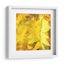 Fotografía De Otoño Iii - Sylvia Coomes | Cuadro decorativo de Canvas Lab