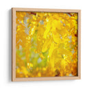 Fotografía De Otoño Iv - Sylvia Coomes | Cuadro decorativo de Canvas Lab