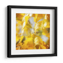 Fotografía De Otoño V - Sylvia Coomes | Cuadro decorativo de Canvas Lab