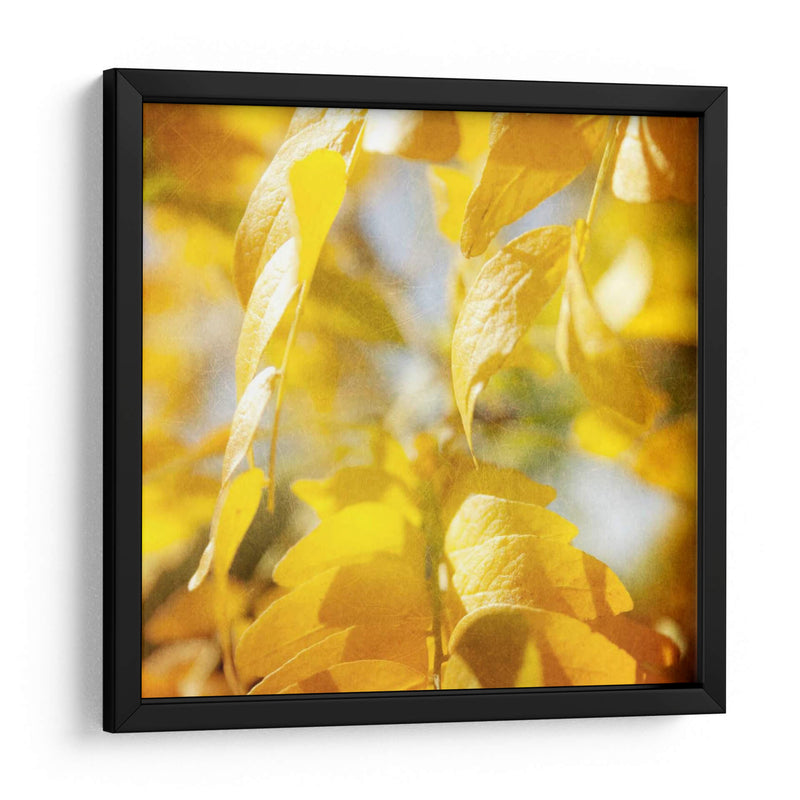Fotografía De Otoño V - Sylvia Coomes | Cuadro decorativo de Canvas Lab