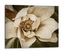 Magnolia Clásica I - Rachel Perry | Cuadro decorativo de Canvas Lab