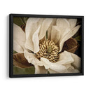 Magnolia Clásica Ii - Rachel Perry | Cuadro decorativo de Canvas Lab