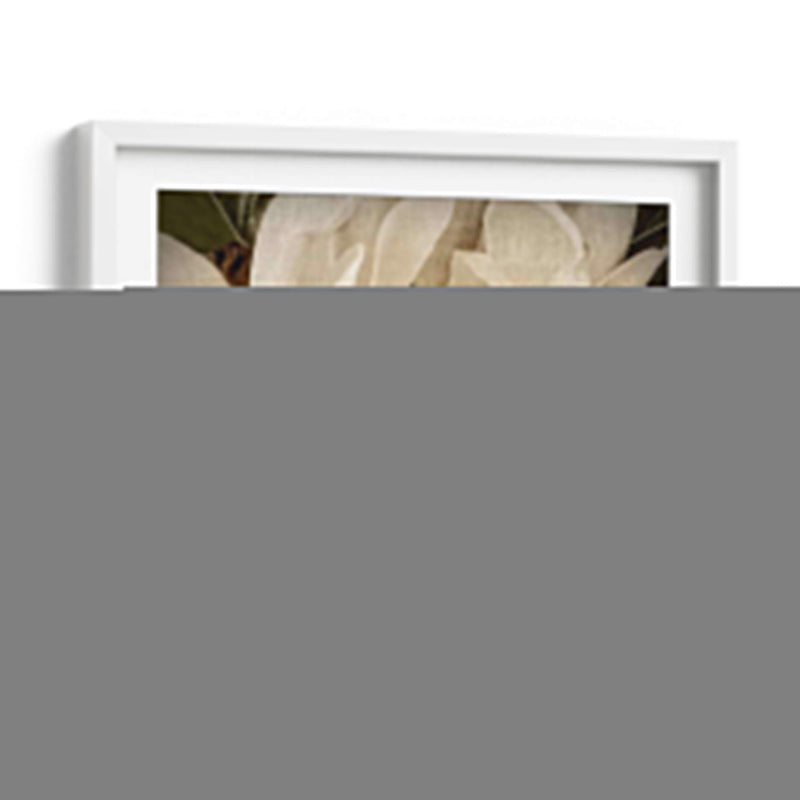 Magnolia Clásica Ii - Rachel Perry | Cuadro decorativo de Canvas Lab