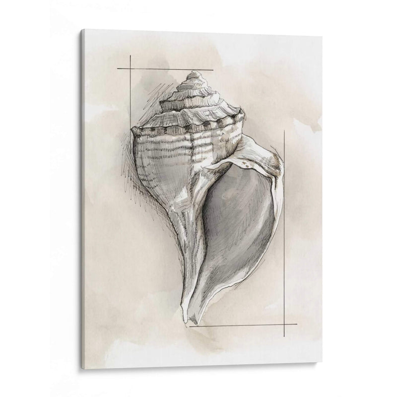 Shell Esquemático I - Megan Meagher | Cuadro decorativo de Canvas Lab