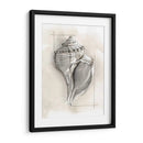 Shell Esquemático I - Megan Meagher | Cuadro decorativo de Canvas Lab