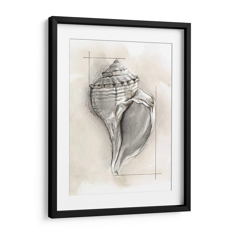 Shell Esquemático I - Megan Meagher | Cuadro decorativo de Canvas Lab