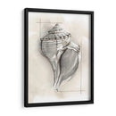 Shell Esquemático I - Megan Meagher | Cuadro decorativo de Canvas Lab