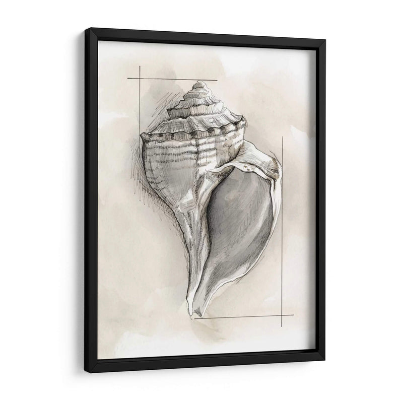 Shell Esquemático I - Megan Meagher | Cuadro decorativo de Canvas Lab