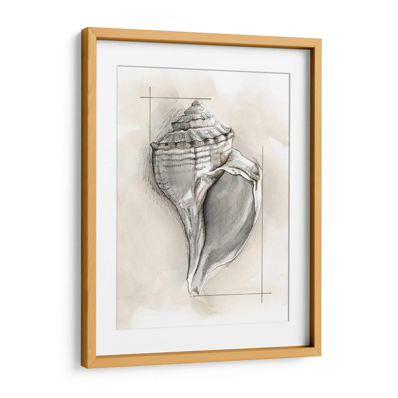 Shell Esquemático I - Megan Meagher | Cuadro decorativo de Canvas Lab