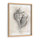 Shell Esquemático I - Megan Meagher | Cuadro decorativo de Canvas Lab
